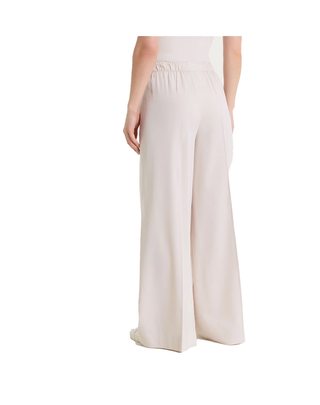 PANTALONE PALAZZO CON PINCES IN TESSUTO SUPER NATURAL - CHAMPIGNON DP79PA 786 RAGNO 