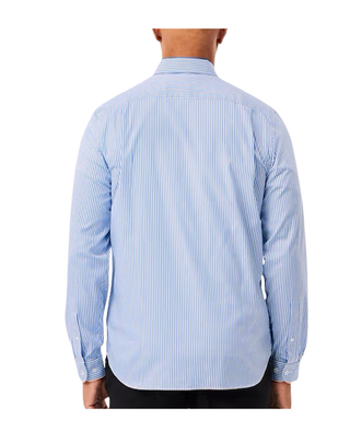 CAMICIA UOMO REGULAR FIT 100% COTONE - RIGA BIANCO AZZURRO CH2936 F6Z LACOSTE 